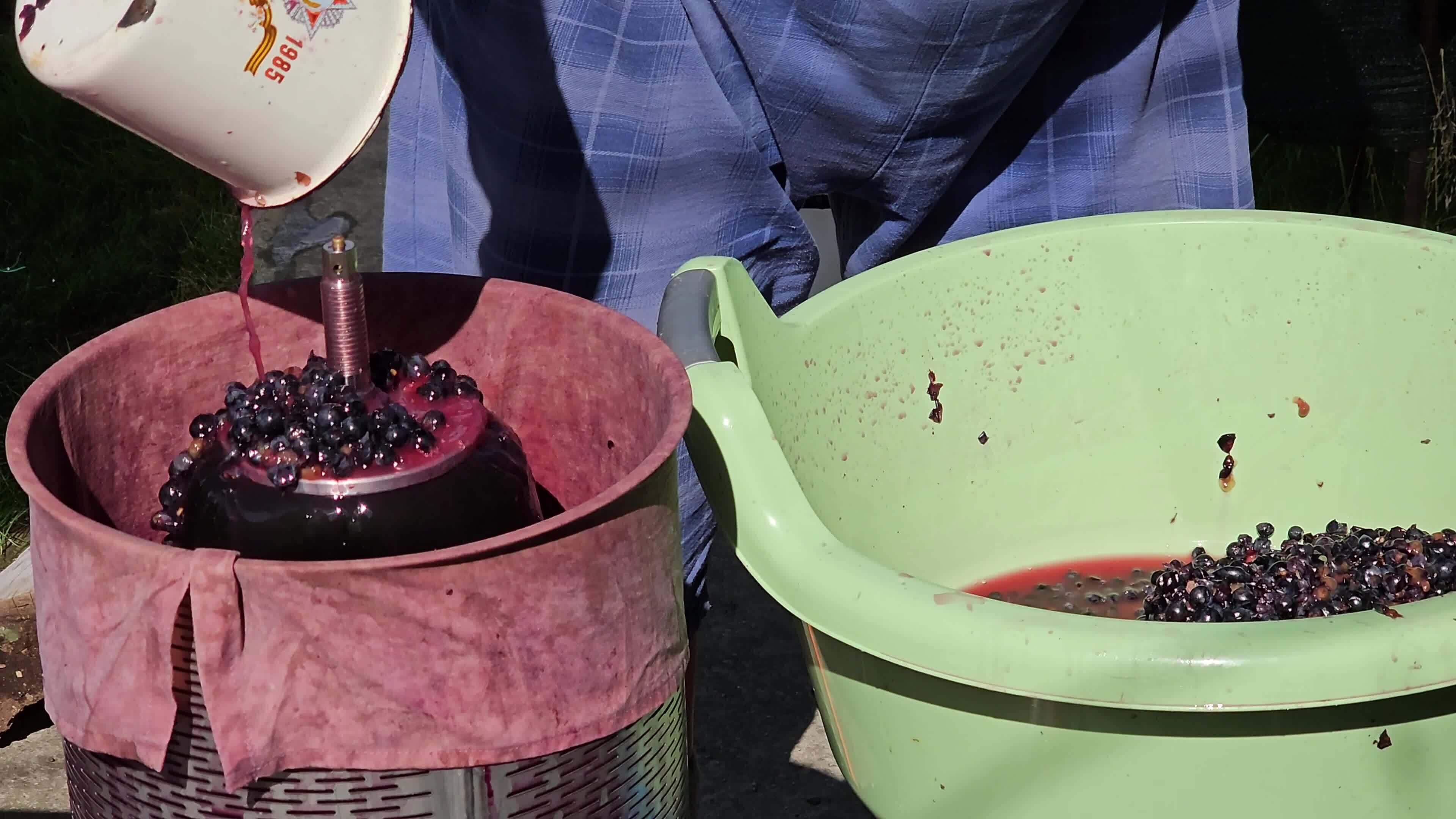 The process of making homemade grape wine. A winemaker loads crushed