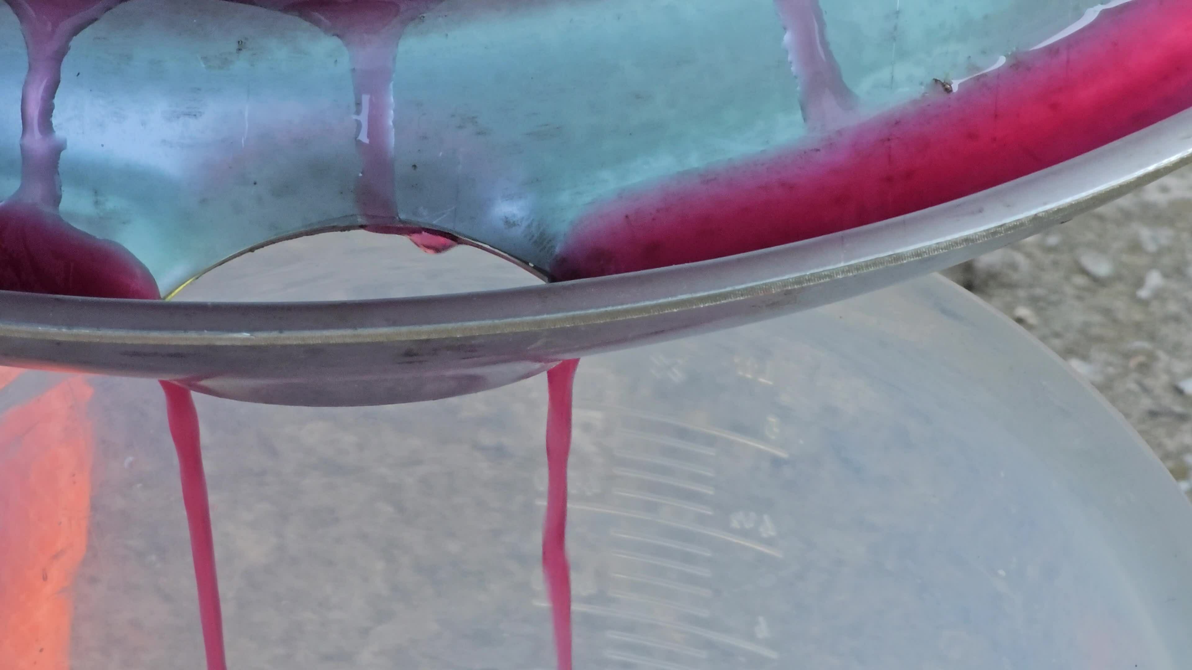 The process of making homemade grape wine. Grapes are pressed in a