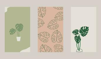 Monstera Plant Phone Wallpaper Background vector