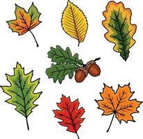 otoño hojas acortar Arte vector
