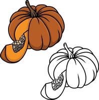 pumpkin colour and lineart vector