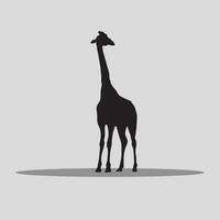 Giraffe animal vectors