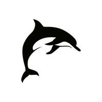 vector dolphin silhouette logo