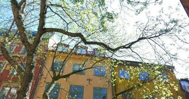 europeo casa y árbol en brillante Brillo Solar video