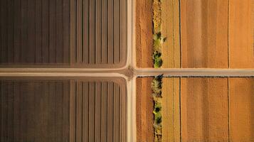 generativo ai, granja otoño paisaje, agrícola campos, hermosa verde, amarillo, naranja y beige campo, país la carretera. naturaleza ilustración, fotorrealista parte superior ver zumbido. foto