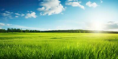 ai generado. ai generativo. verde Fresco césped campo prado con azul cielo horizonte antecedentes. burlarse de arriba inspirador salvaje al aire libre naturaleza. gráfico Arte foto