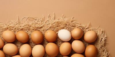 AI Generated. AI Generative. Eco organic chicken hen eggs template background mock up. Graphic Art photo