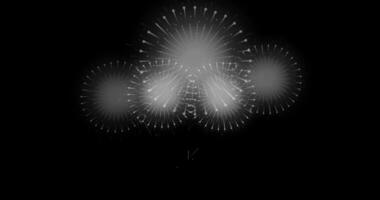 fyrverkeri rörelse grafik på svart bakgrund. diwali festival firande fyrverkeri bakgrund. för 4:e av juli, ny år eve. video