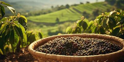 ai generado. ai generativo. café frijoles plantación naturaleza al aire libre paisaje. gráfico Arte foto