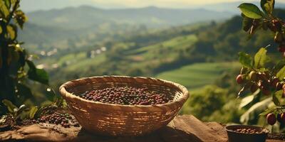 ai generado. ai generativo. café frijoles plantación naturaleza al aire libre paisaje. gráfico Arte foto