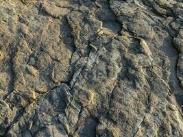 rock texture with natural patterns photo