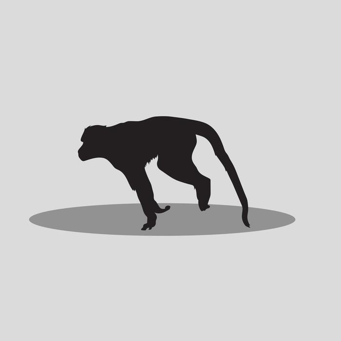 Spider Monkey Vector Art, Icons, and Graphics for Free Download