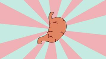 Animation of a human stomach with a rotating background video