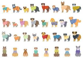 perro suéter íconos conjunto dibujos animados vector. linda fornido vector
