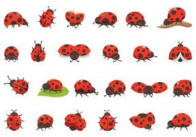 Ladybug icons set cartoon vector. Bug insect vector