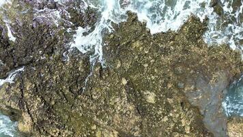 zumbido ver de grande atlántico Oceano olas reunirse el rocoso costas de el canario isla de tenerife video