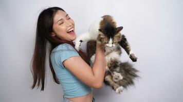 Cheerful young Asian woman holding and hugging cute angora cat with yellow eyes, isolated by white background. Adorable domestic pet concept. video