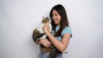 allegro giovane asiatico donna Tenere e abbracciare carino angora gatto con giallo occhi, isolato di bianca sfondo. adorabile domestico animale domestico concetto. video