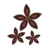 Anise stars on white background. vector