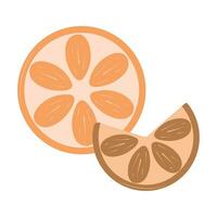 Orange slices on a white background for decorating drinks vector