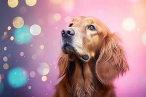 Close-up of cute dog with beautiful bokeh background, Generative AI illustration photo