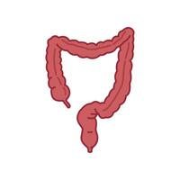 Large intestine icon. Intestines digestion system symbol. Healthy digestion part of internal body organ. Colitis, duodenum and colon tract. Vector illustration design.