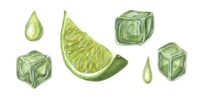 Lime slice, drops, ice cube with lime juice. Botanical illustration of mojito ingredients for menu, cocktail party, flyer, posters. Watercolor set png