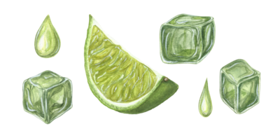 lime fetta, gocce, ghiaccio cubo con lime succo. botanico illustrazione di Mojito ingredienti per menù, cocktail festa, volantino, manifesti. acquerello impostato png