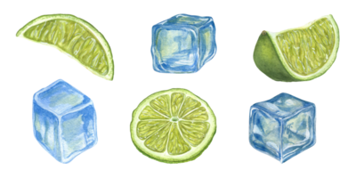 Watercolor set of Lime slices, blue Ice Cubes. Hand drawn illustration for print, menu, celebration design, cocktail party, flyer, posters png