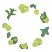 Créatif Naturel décor de citron vert tranches, menthe feuilles. Frais des fruits et les plantes en volant dans cercle. aquarelle illustration pour arrière-plans, carte, logo, prospectus png