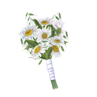 Bouquet of meadow white daisies with wild herbs, leaves. Flowers for wedding in rustic style. Boutonniere, white satin ribbon, bride, groom. Watercolor illustration for wedding stationary png
