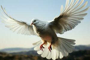 Mid air flight of a white feathered homing pigeon bird AI Generated photo