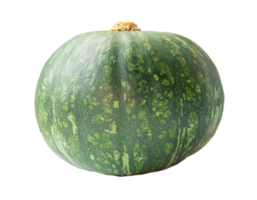 Single fresh kabocha or green Japanese pumpkin isolated with clipping path in png file format