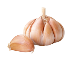 Single fresh white garlic bulb with segment isolated with clipping path in png file format, Thai herb is great for healing several severe diseases, heart attack