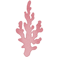 mano dibujado rojo coral png