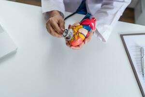 Doctor with anatomical model of human heart Cardiologist supports the heart. heart diagnose medical checkup cardiologist in examination room photo