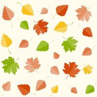 Multicolored autumn seamless pattern of autumn leaves on a white background vector