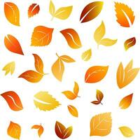 Multicolored autumn seamless pattern of autumn leaves on a white background vector