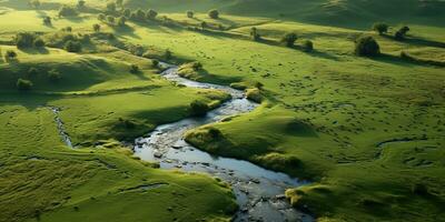 AI Generated. AI Generative. Amazing aerial drone view nature outdoor forest field meadow with river and birds in the sky.  Graphic Art photo