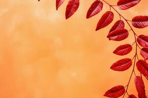 Autumnal charm, orange background adorned with vibrant red rowan leaves AI Generated photo