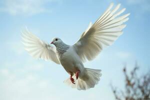 un buscador de blancos Paloma con blanco plumaje en sereno medio aire vuelo ai generado foto