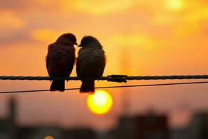 pájaros del amor encaramado en alambres, silueta por un maravilloso puesta de sol fondo ai generado foto