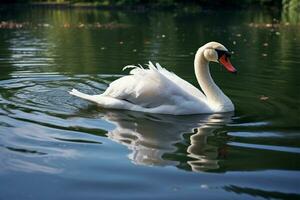 A swan with a striking red beak peacefully swims in a pond AI Generated photo