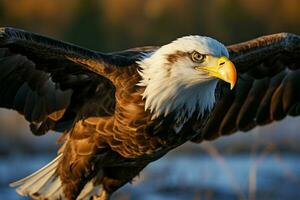 Eagle, a closeup in a sunlit field, dominating the day AI Generated photo