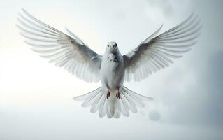 Pure Flight White Bird Soaring on Solid White Background. Generative Ai photo