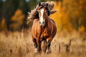 Energetic Brown Horse Galloping Forward. Generated By Ai photo