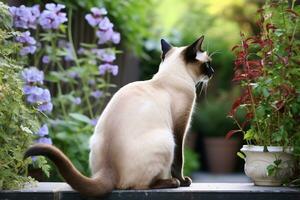 agraciado siamés gato en jardín ajuste. generativo por ai foto