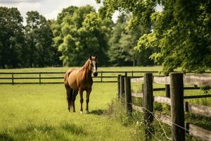 caballo atado a un de madera cerca en un lozano verde campo. generativo por ai foto