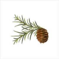 Hand drawn and hand painted with watercolor effect pine cone with conifer branch. Christmas and New Year green conifer plant elements. Tree Art Design. Isolated on white background. vector