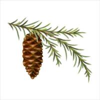 Hand drawn and hand painted with watercolor effect pine cone with conifer branch. Christmas and New Year green conifer plant elements. Tree Art Design. Isolated on white background. vector